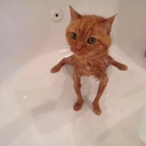 Meet your Posher, Kaylee